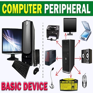 Computers & Peripherals